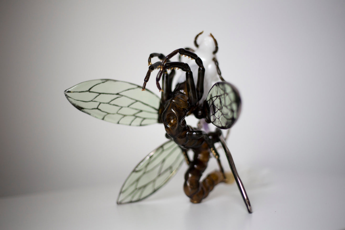 Lupus Insecta: Jessica Tsai x Sibelley Collab