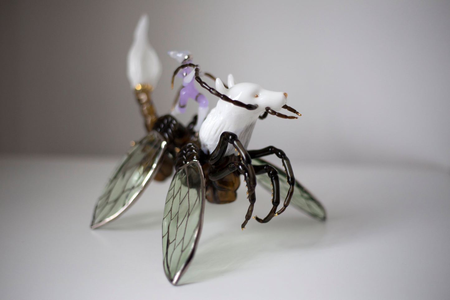 Lupus Insecta: Jessica Tsai x Sibelley Collab